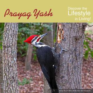 Prayag Yash Brochure 1