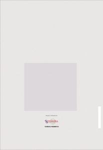 Pragathi Green Woods Brochure 27