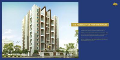 Pate Seya Brochure 5