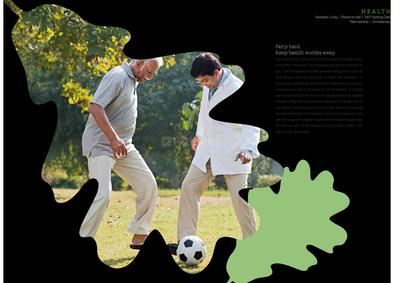Adani The Evergreen Brochure 5