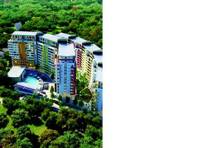 NBCC Valley View Brochure 8