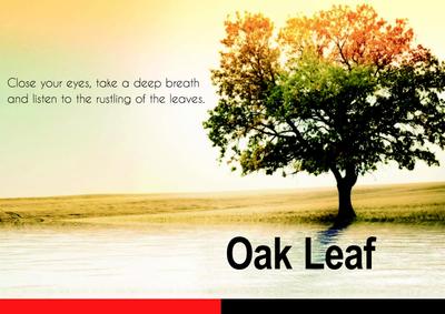 Suvastu Oak Leaf Brochure 1