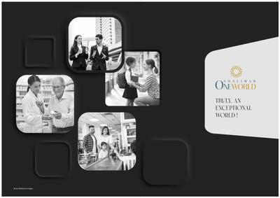Shalimar One World Pinnacle Brochure 7