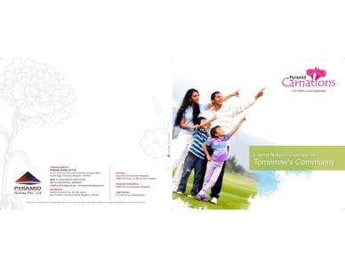 Pyramid Carnations Brochure 2