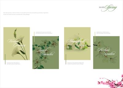 Silver Spring Brochure 4