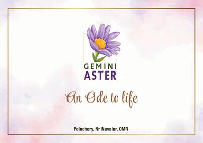Arboretum Gemini Aster Brochure 1