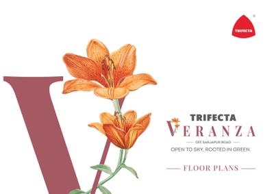 Trifecta Veranza Brochure 1