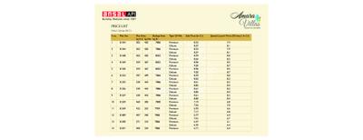 Ansal Amara Villas Brochure 5