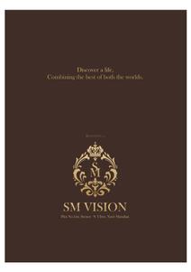 SM Vision Brochure 1