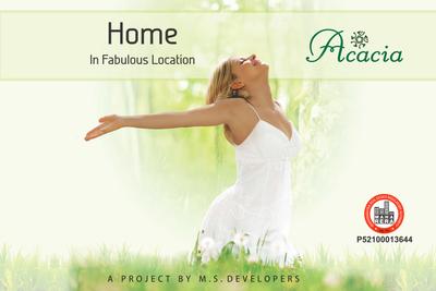 MS Acacia Brochure 1
