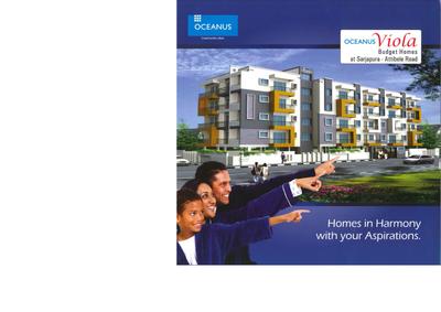 Oceanus Viola Brochure 1