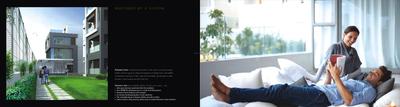 Fortune Icon Brochure 5
