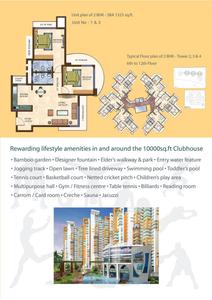 GM Daffodils Brochure 4