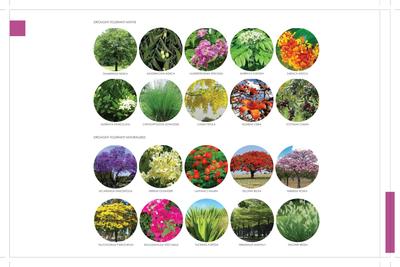 Embassy Springs Brochure 16