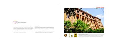 12 Diamonds Brochure 18