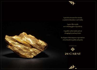Giridhari 24 Carat Brochure 2