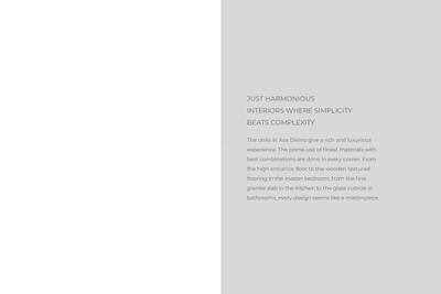 ACE Divino Brochure 40
