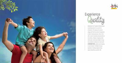 Confident Iris Brochure 2