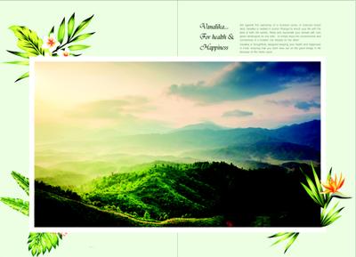 Calyx Vanalika Brochure 3