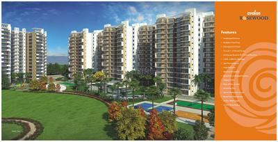 Image of 1249 Sq.ft 2 BHK Apartment / Flat for sale in Avalon Rosewood, Sector 16, Bhiwadi for Rs. 6250000
