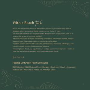 Roach Cicada Brochure 3