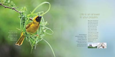 Mega The Perch Brochure 3