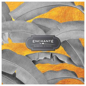 Pacifica Enchante Brochure 1
