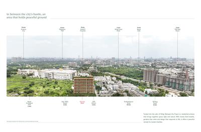 Between The Trees Brochure 3