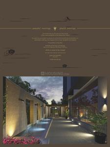 Addor 14 Crowns Brochure 5