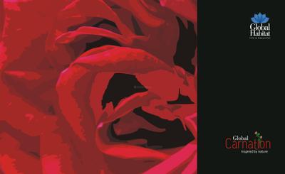 Global Carnation Brochure 1