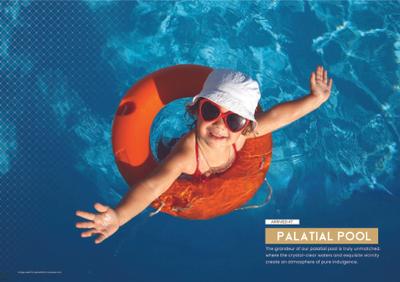 Metro Pride Brochure 12