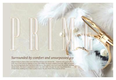 Nirala Aspire Brochure 13