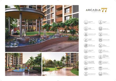 Strut Arcadia 77 Brochure 7