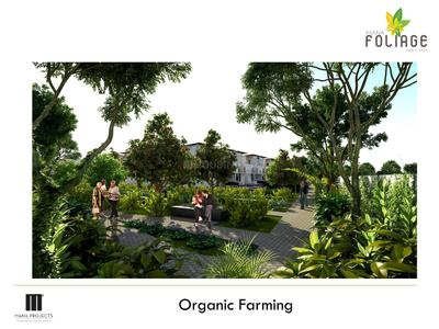 Mana Foliage Brochure 9