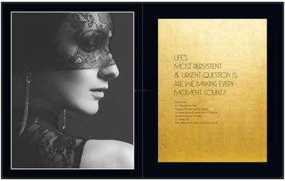 PS Aurus Brochure 5