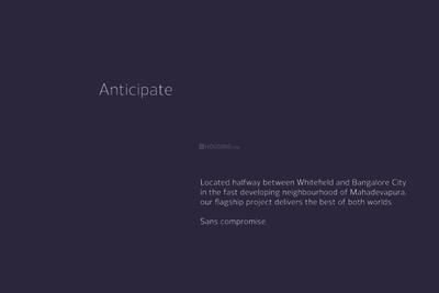 Trifecta Starlight Brochure 7