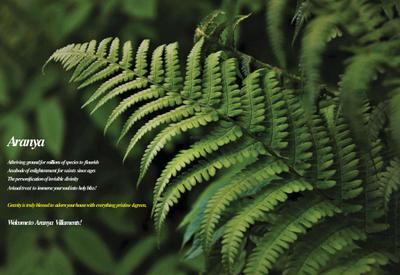 Gravity Aranya Phase 2 Brochure 3