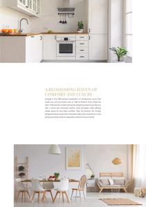 Rubrick Tulip Brochure 10