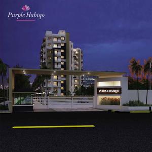 Purple Habiqo Brochure 2