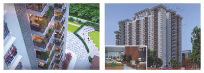 Centreo Brochure 16