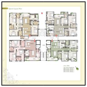 Siddha Basil Brochure 7