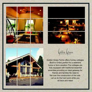 Golden Grass Brochure 13