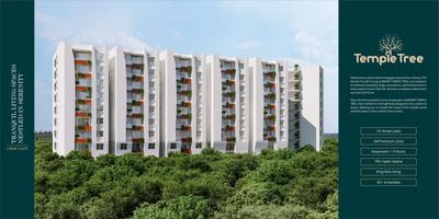 Binary Temple Tree Brochure 2