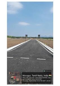 Evergreen Brochure 5