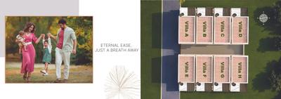MGP Elena Brochure 6