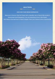 RAK Felicity Brochure 3