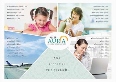 CoEvolve Aura Brochure 14