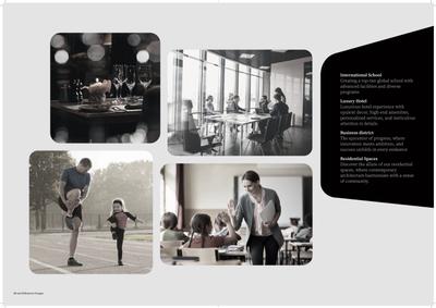 Shalimar One World Pinnacle Brochure 16