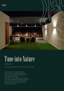 CEDAR STRING Brochure 2