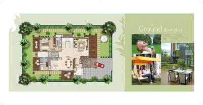 Regency Willows Brochure 21